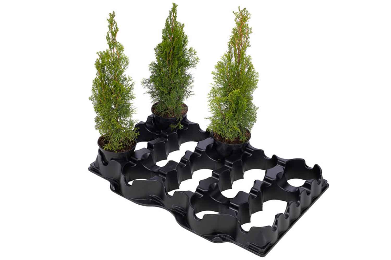 Topfhalter für idealen Windwurfschutz Topfhalter für idealen Windwurfschutz